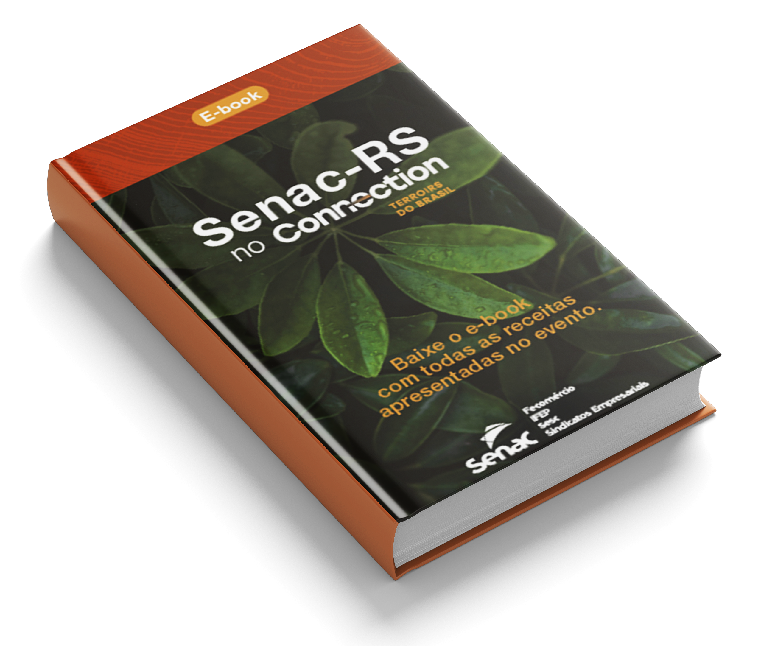 E-book - Curso Técnico em Enfermagem